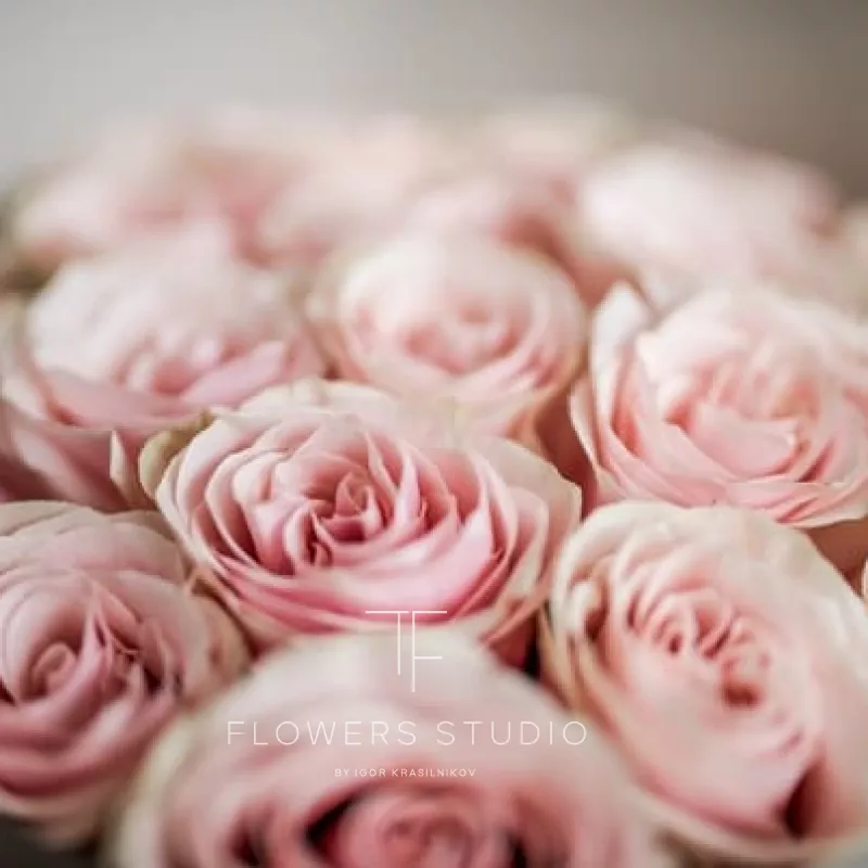 Монобукет №4 2