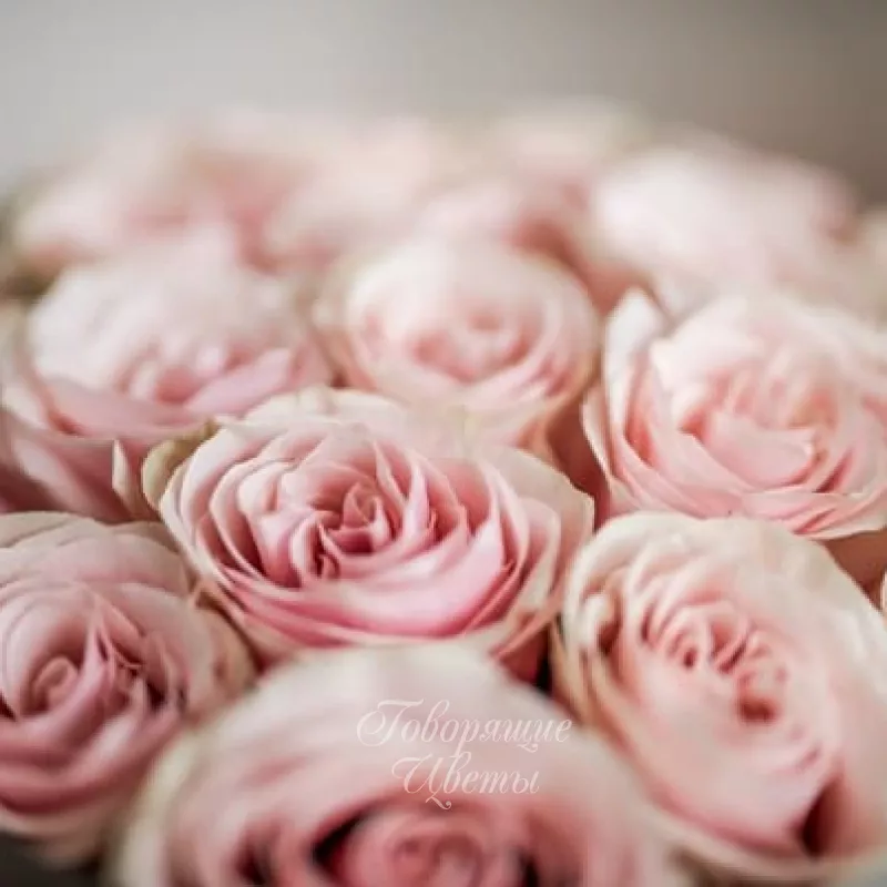 Монобукет №4 2