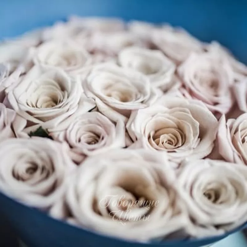 Монобукет №6 3