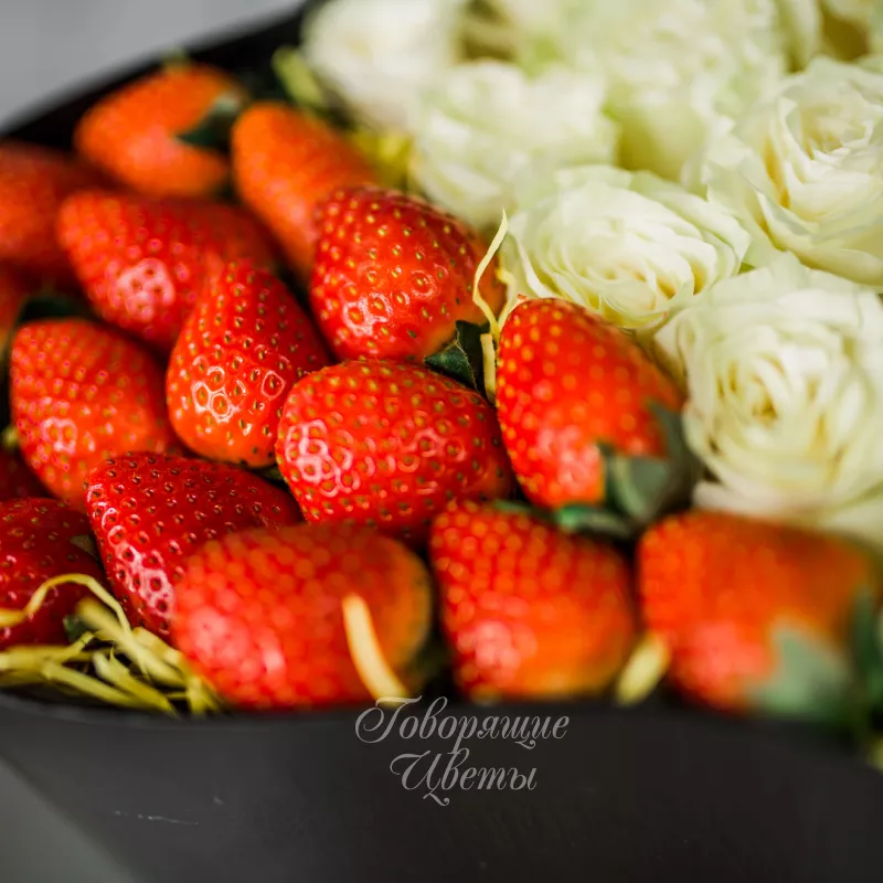 Любовь и Витамины 2