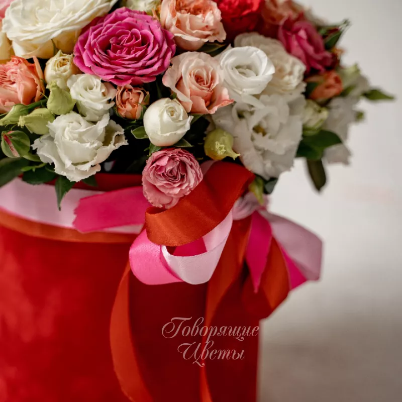 Время Любить 5