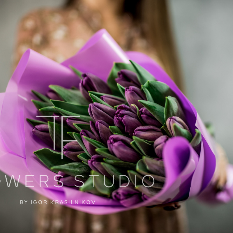 25 фиолетовых тюльпанов 1