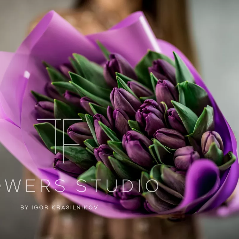 25 фиолетовых тюльпанов 2