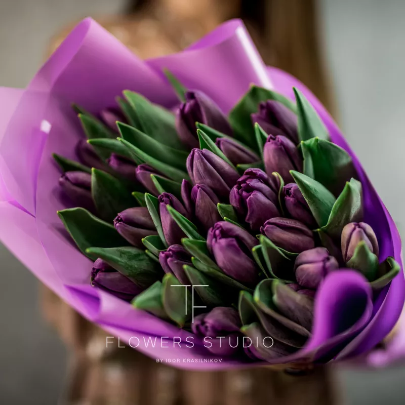 25 фиолетовых тюльпанов 2