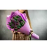 25 фиолетовых тюльпанов 3