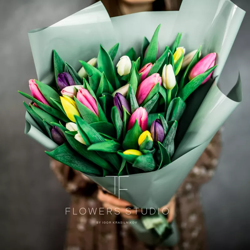 25 тюльпанов микс 1
