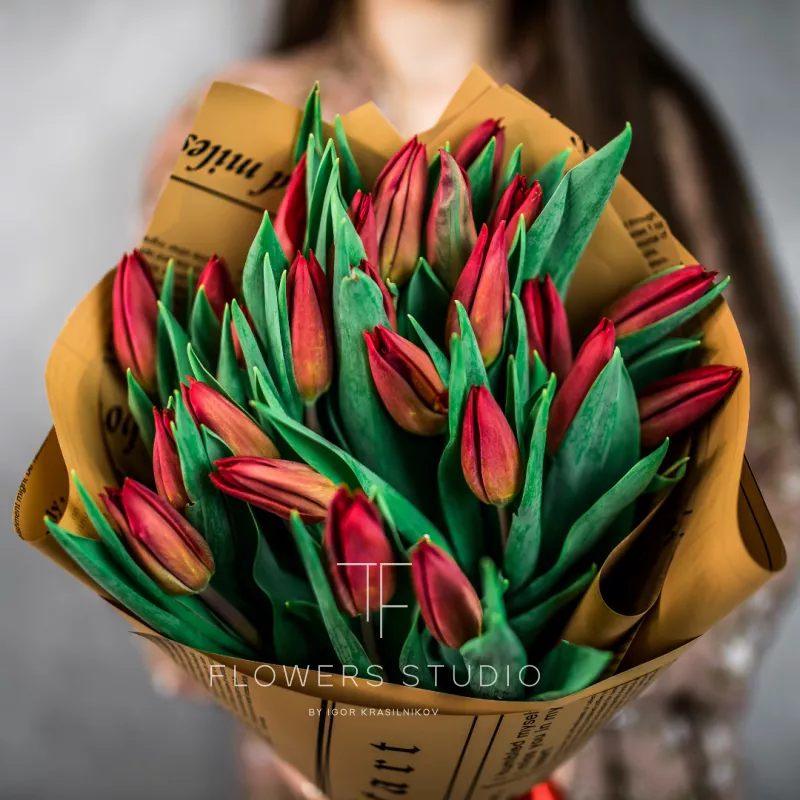 25 красных тюльпанов 1
