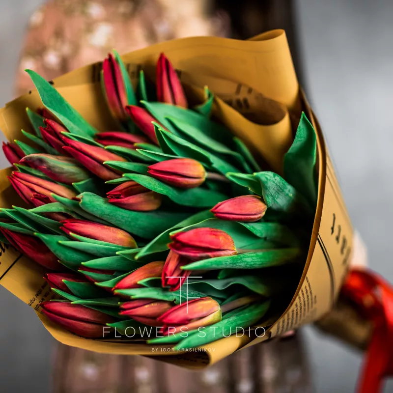 25 красных тюльпанов