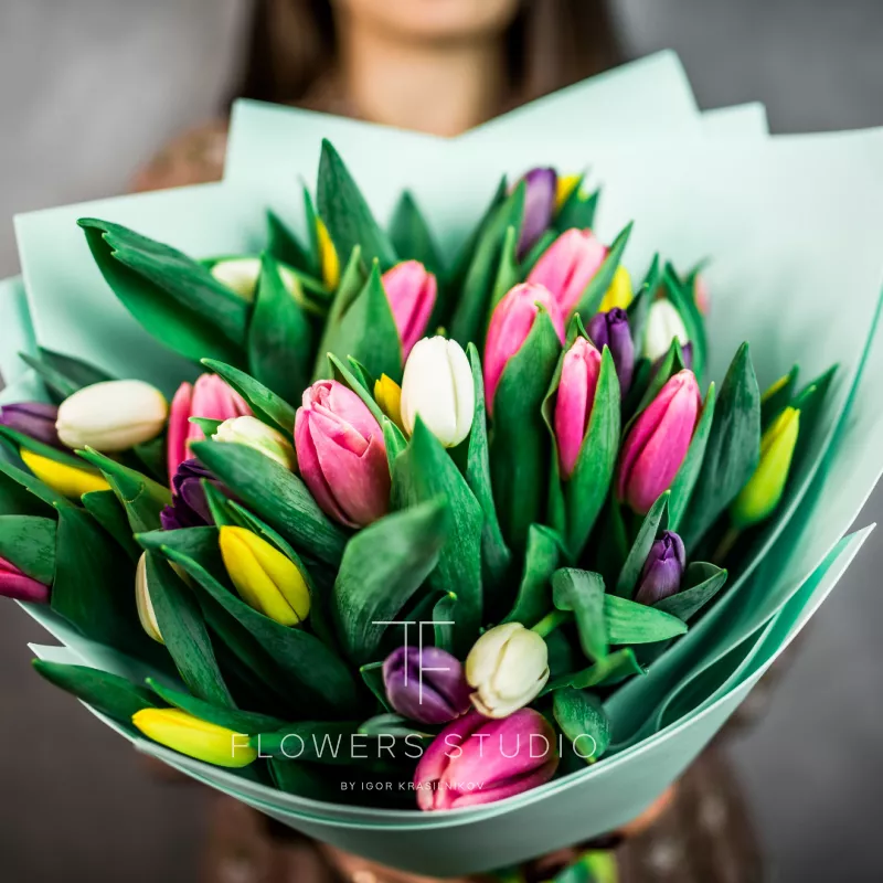 35 тюльпанов микс
