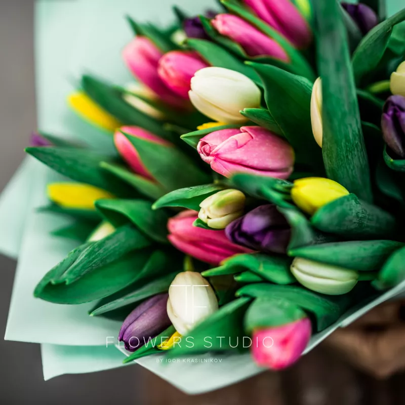 35 тюльпанов микс 2