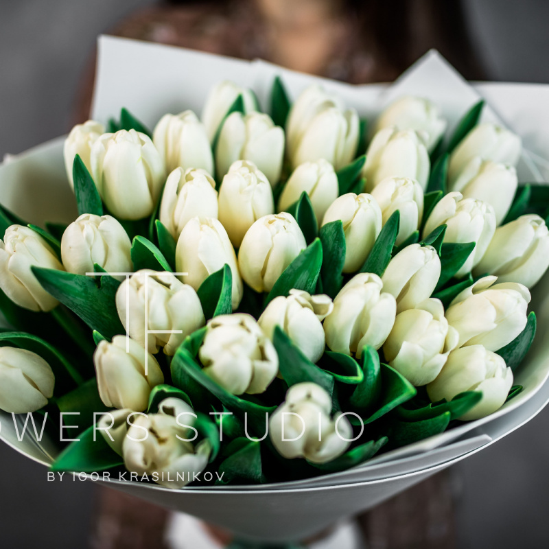 35 белых тюльпанов 1