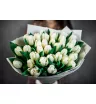 35 белых тюльпанов 1