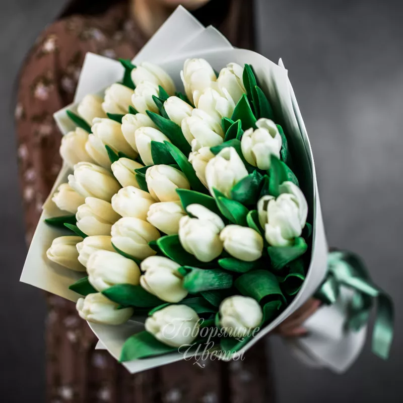 35 белых тюльпанов 1