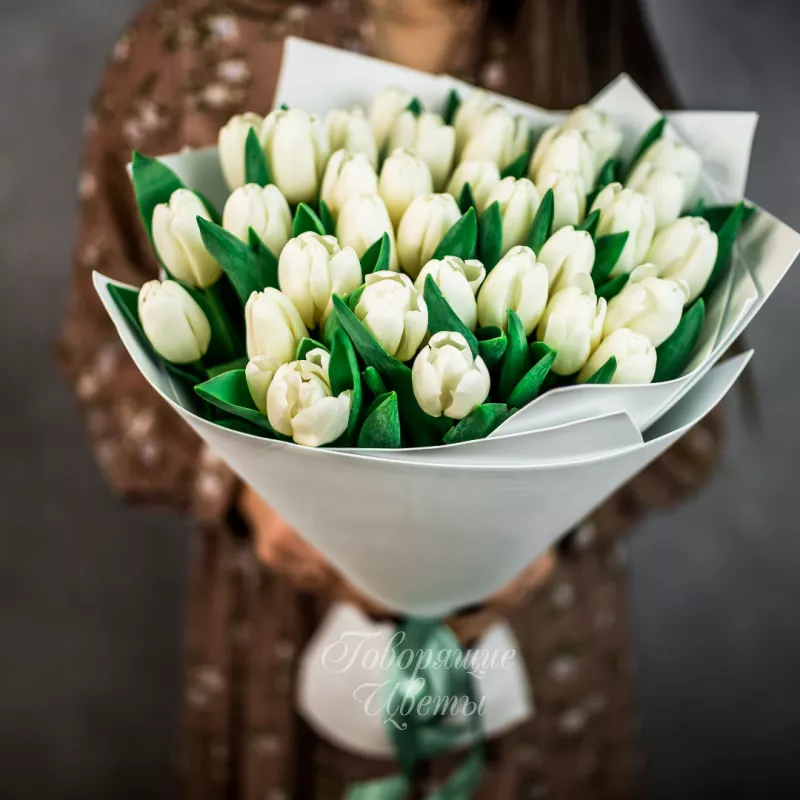 35 белых тюльпанов 2