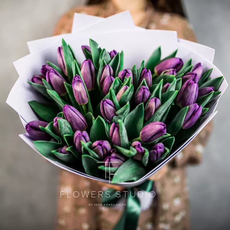 35 фиолетовых тюльпанов