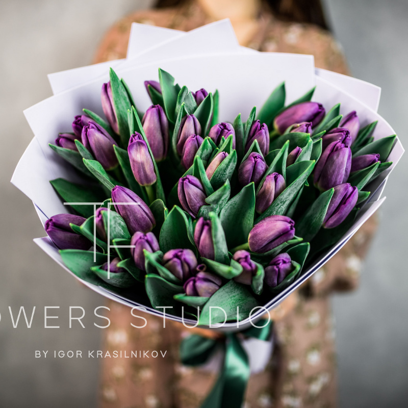 35 фиолетовых тюльпанов