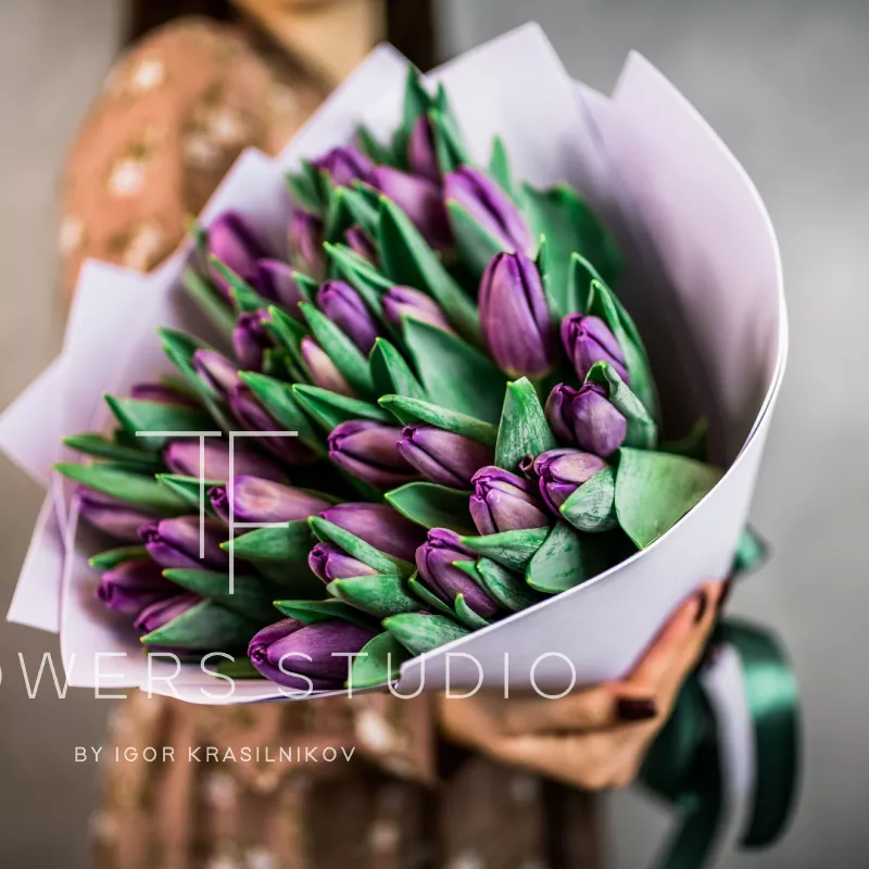 35 фиолетовых тюльпанов 1