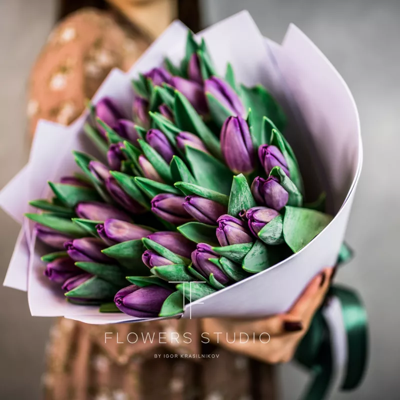 35 фиолетовых тюльпанов 1