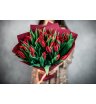 35 красных тюльпанов 1
