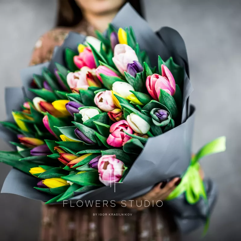 51 тюльпан микс