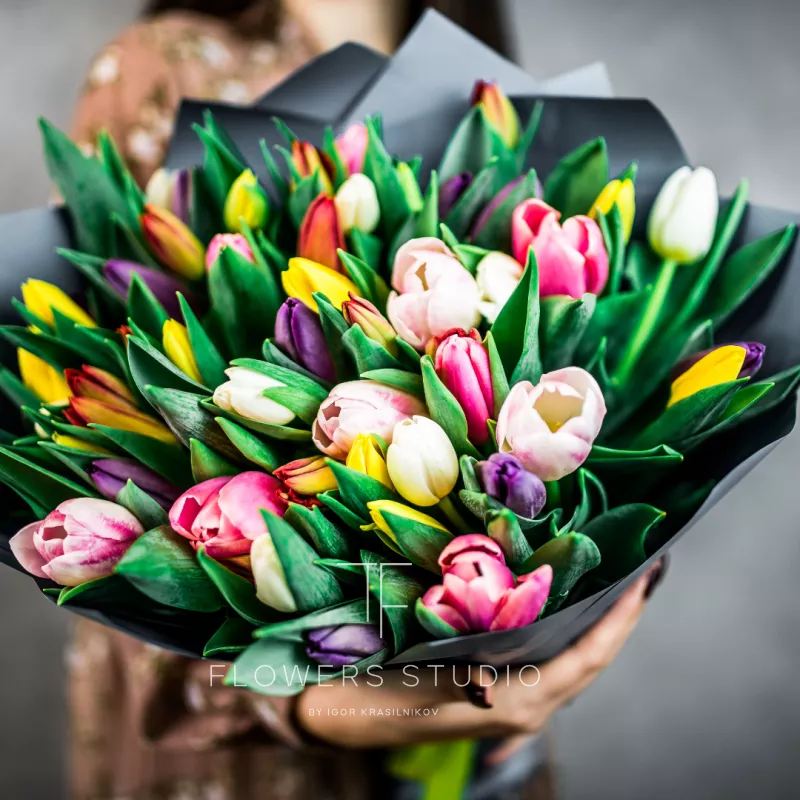 51 тюльпан микс 1