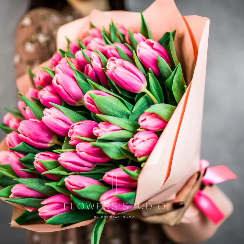 51 розовый тюльпан 1