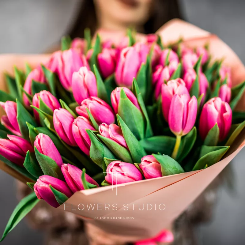 51 розовый тюльпан 2