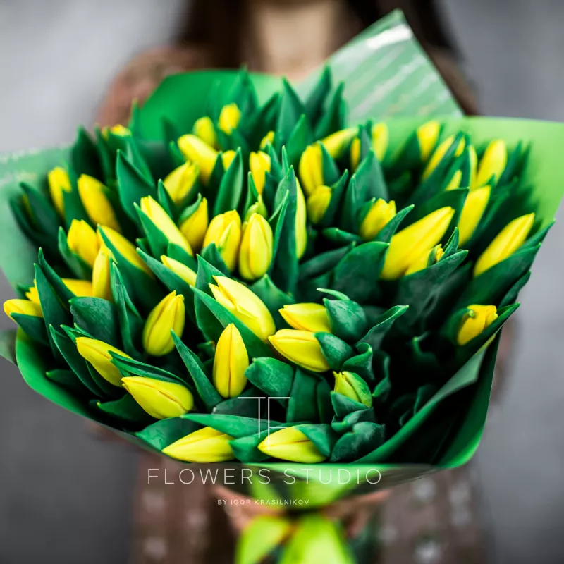 51 желтый тюльпан 1
