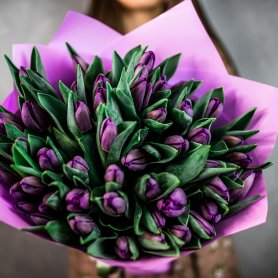 51 фиолетовый тюльпан от интернет-магазина «Flowers Studio» в Чебоксарах