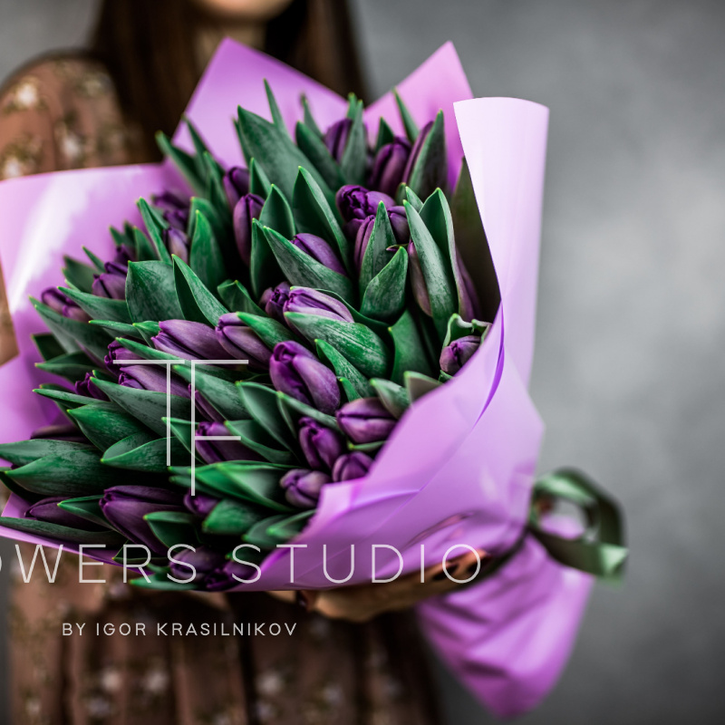 51 фиолетовый тюльпан 1