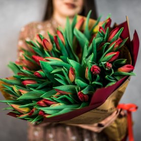 51 красный тюльпан от интернет-магазина «Flowers Studio» в Чебоксарах