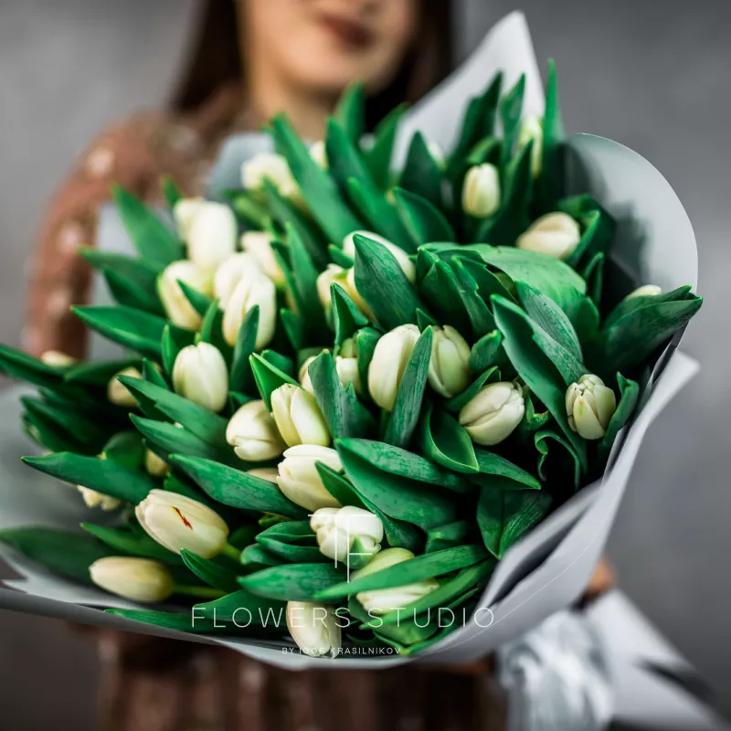 51 белый тюльпан