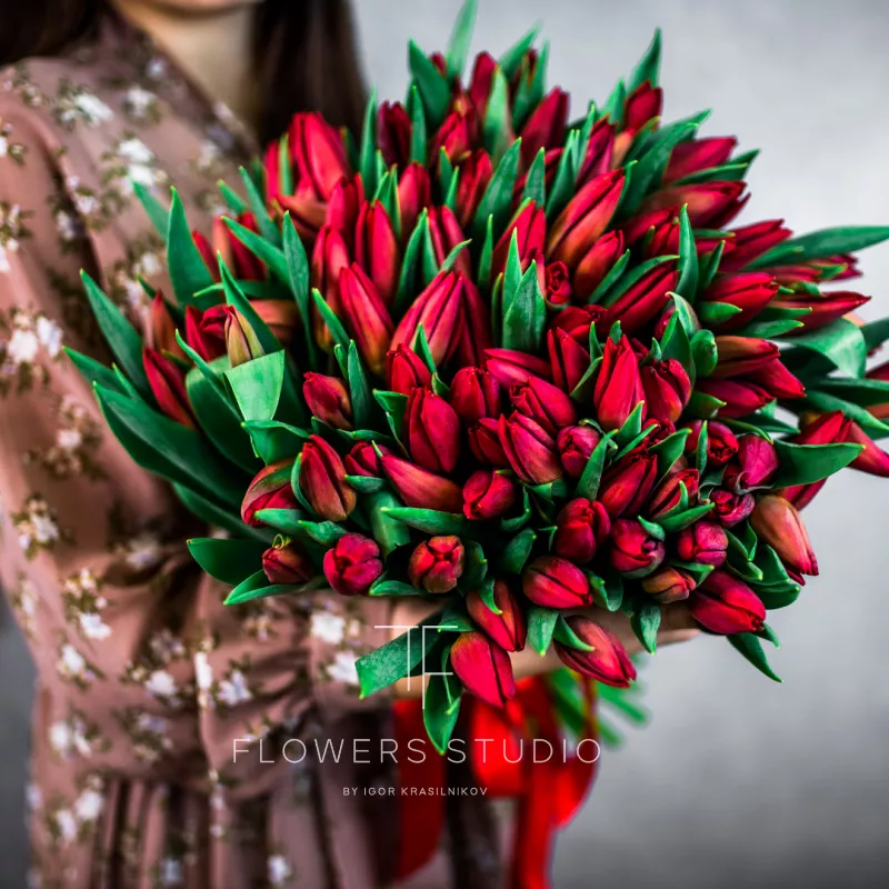 101 красный тюльпан 1