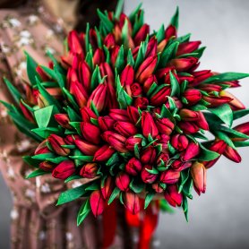 101 красный тюльпан от интернет-магазина «Flowers Studio» в Чебоксарах