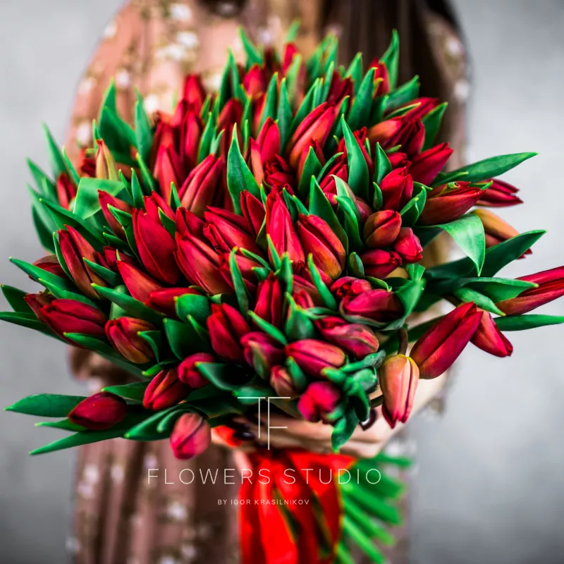101 красный тюльпан 2