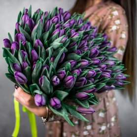 101 фиолетовый тюльпан от интернет-магазина «Flowers Studio» в Чебоксарах