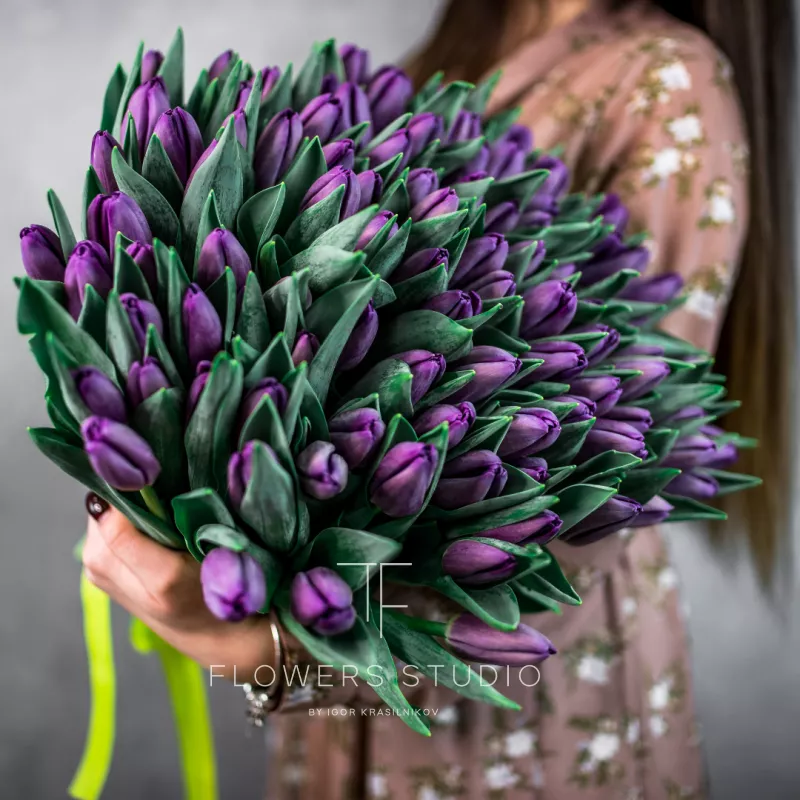 101 фиолетовый тюльпан