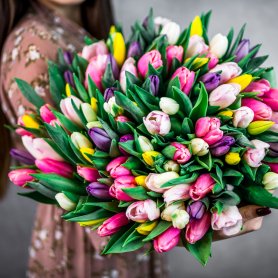 101 тюльпан микс от интернет-магазина «Flowers Studio» в Чебоксарах