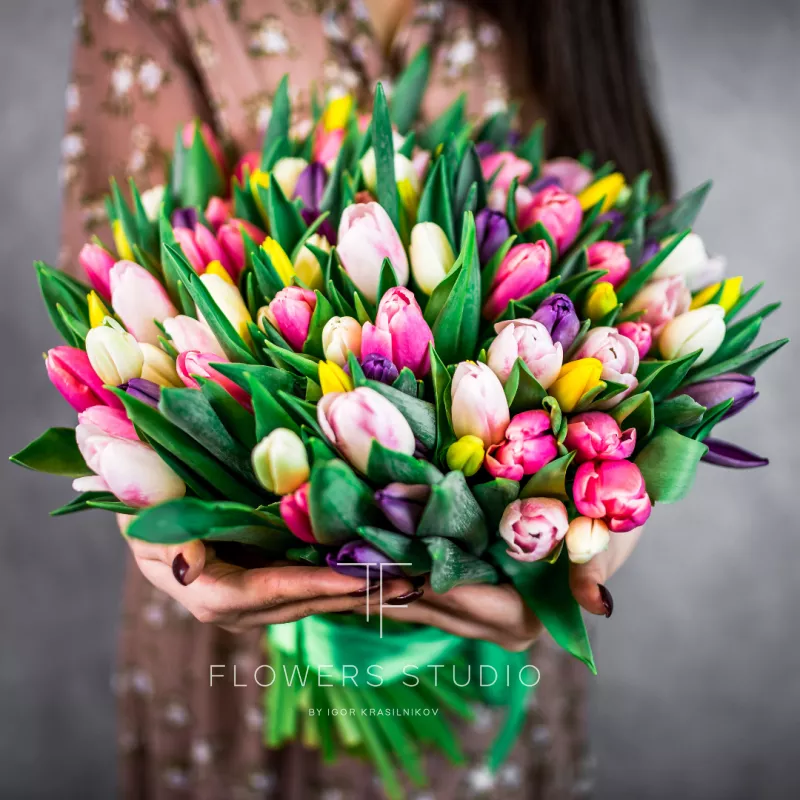 101 тюльпан микс 1
