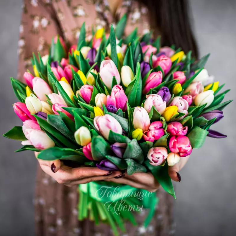 101 тюльпан микс 1