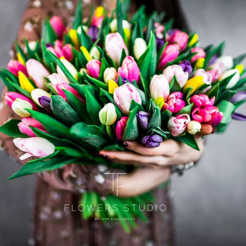 101 тюльпан микс 2