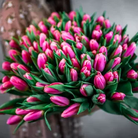101 розовый тюльпан от интернет-магазина «Говорящие цветы»