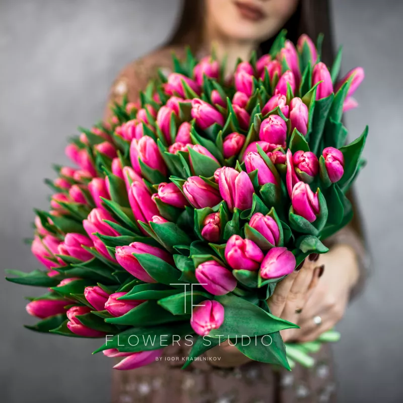 101 розовый тюльпан 1