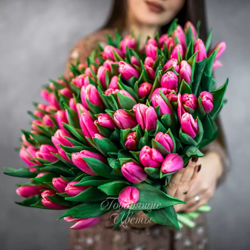 101 розовый тюльпан 1