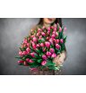 101 розовый тюльпан 1