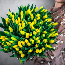 101 желтый тюльпан от интернет-магазина «Flowers Studio» в Чебоксарах