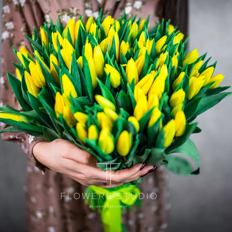 101 желтый тюльпан 1