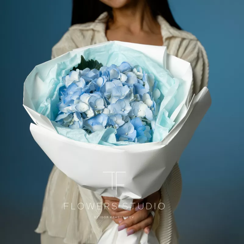 Букет с гортензией «Комета»