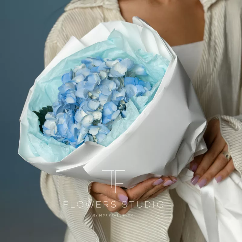 Букет с гортензией «Комета» 2