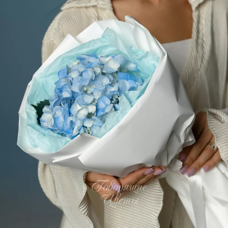 Букет с гортензией &laquo;Комета&raquo; 2